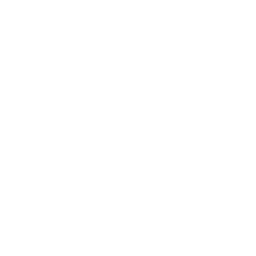 Driver icon